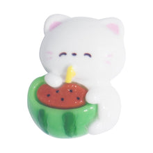 Load image into Gallery viewer, Q-28 Watermelon Cat (2 X 2.6 Cm) WiLLBee CLIPON Charms
